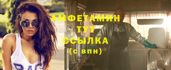 индика Бронницы