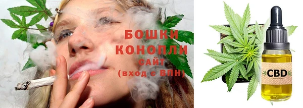 бошки Бородино