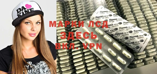 бошки Бородино