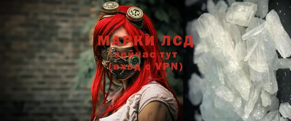 бошки Бородино