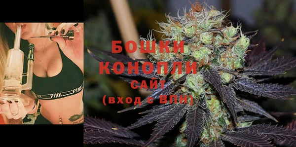 бошки Бородино