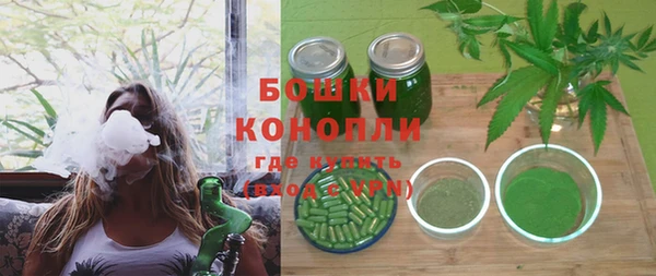 бошки Бородино