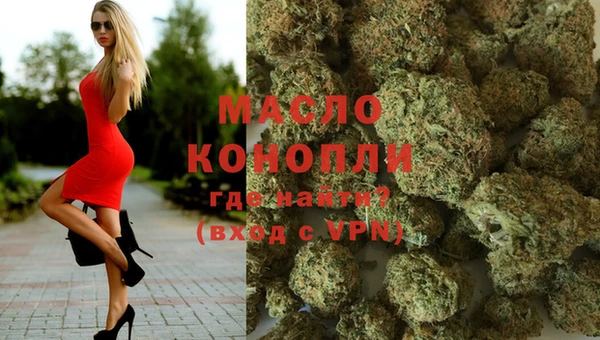 индика Бронницы