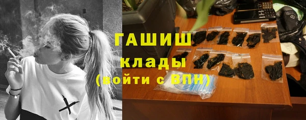 бошки Бородино