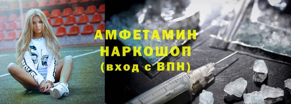индика Бронницы