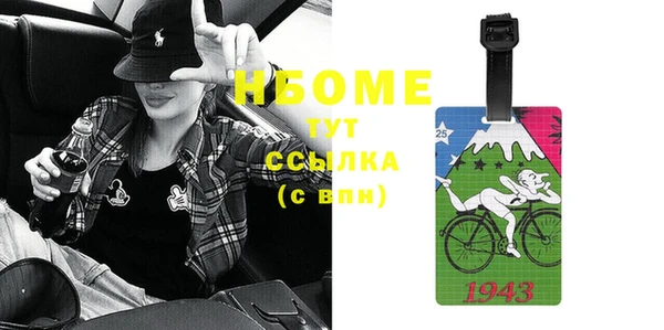 индика Бронницы